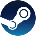 Steam Player Role