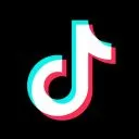 TikTok Creator Role